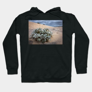 Sand Plant Hoodie